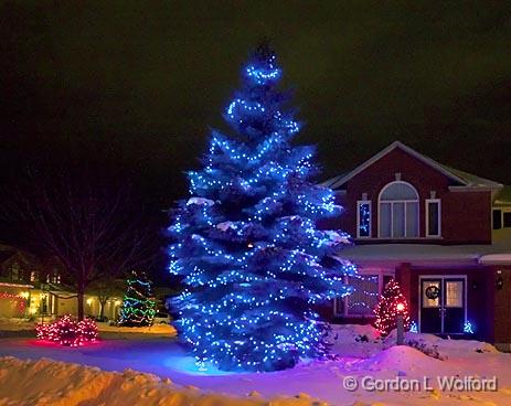 Christmas Lights_12107.jpg - Photographed at Ottawa, Ontario - the capital of Canada.